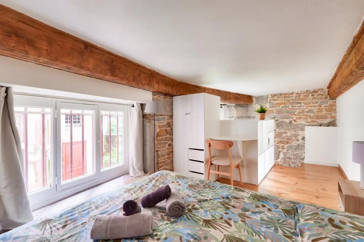 Apartment Studio Duplex Near Croix Rousse Lyon