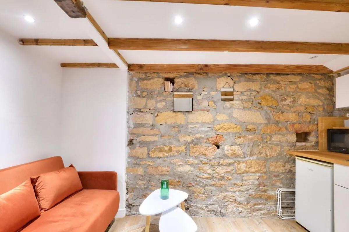 Apartment Studio Duplex Near Croix Rousse Lyon